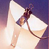 Copylight Blendschutz - Blickschutz Edition Copy Copylight Blendschutz - Blickschutz Edition Copy