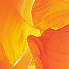 Copylight Motiv - Canyon 1 Copylight Motiv - Canyon 1